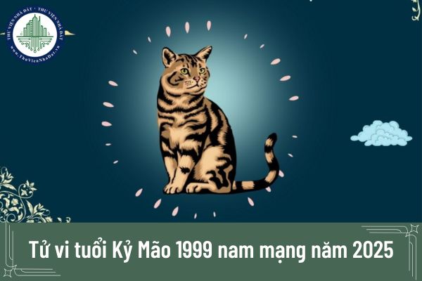 Tử vi tuổi Kỷ Mão 1999 nam mạng năm 2025