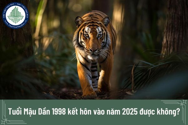 Tuổi Mậu Dần 1998 kết hôn vào năm 2025 được không?