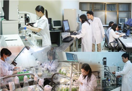 Xây dựng dự toán chi tiết thù lao thực hiện nhiệm vụ khoa học và công nghệ sử dụng ngân sách