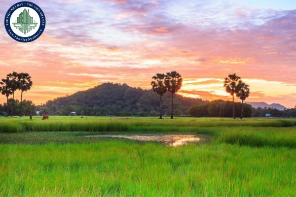 Dàn ý phân tích bài thơ Quê hương của tác giả Đỗ Trung Quân chi tiết nhất? Đánh giá học sinh khuyết tật lớp 8 năm học 2023-2024 như thế nào?