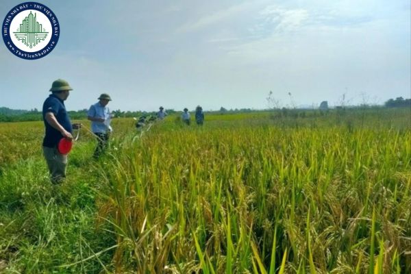 Mẫu danh sách công khai kết quả kiểm tra hồ sơ đăng ký, cấp Giấy chứng nhận là mẫu nào? Tải mẫu về ở đâu? 