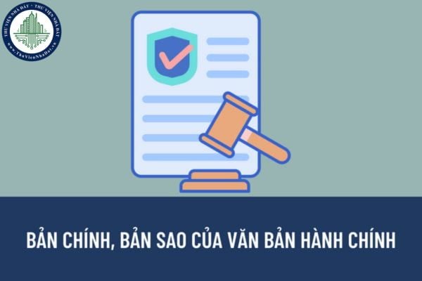 Bản chính, bản sao của văn bản hành chính là gì? Hình thức sao văn bản hành chính được quy định như thế nào?