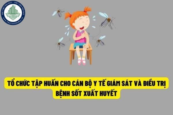 Bộ Y tế đề nghị tổ chức tập huấn cho cán bộ y tế về giám sát và điều trị bệnh sốt xuất huyết?