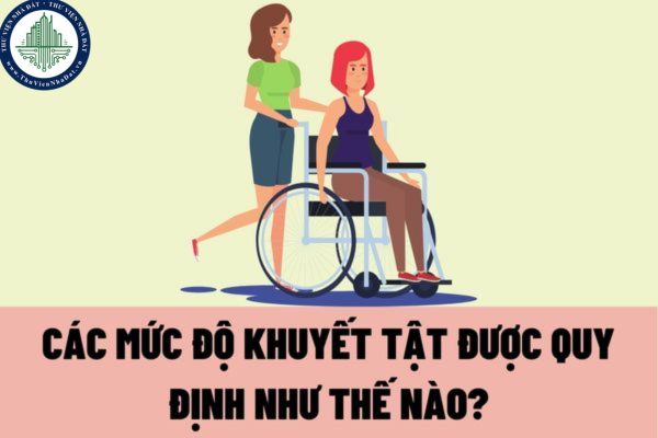 Các mức độ khuyết tật được quy định như thế nào? Thủ tục xác nhận người khuyết tật được thực hiện ra sao?