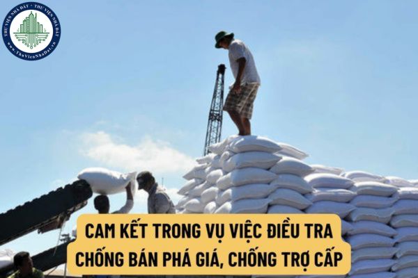 Cam kết trong vụ việc điều tra chống bán phá giá, chống trợ cấp được xem xét dựa trên căn cứ nào?