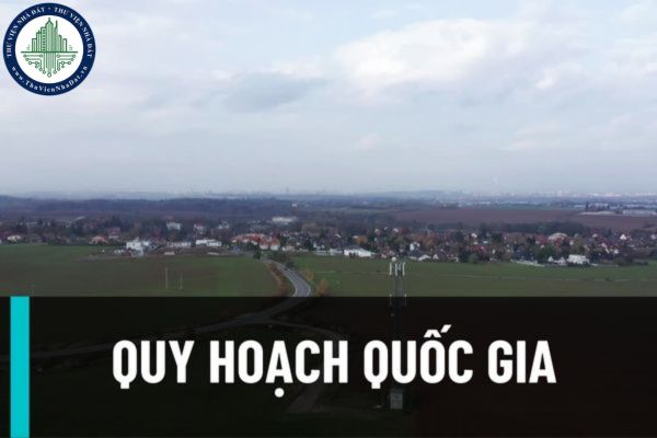 Chính phủ đưa ý kiến đánh giá và triển khai thực hiện chính sách, pháp luật về công tác quy hoạch quốc gia?