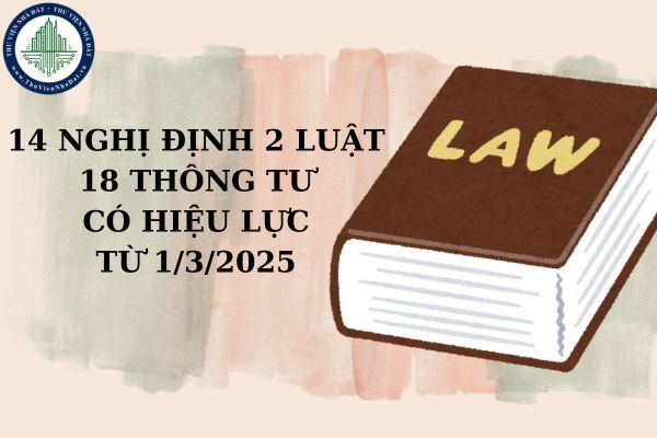 14 Nghị định 2 Luật 18 Thông tư có hiệu lực từ ngày mai 1/3/2025