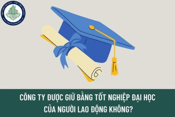 Công ty giữ bằng tốt nghiệp đại học của người lao động đi xin việc có bị xử phạt hay không?