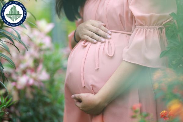 Đề xuất phụ nữ mang thai, nghỉ thai, nuôi con dưới 36 tháng tuổi có thể tự nguyện thực hiện tinh giản biên chế?