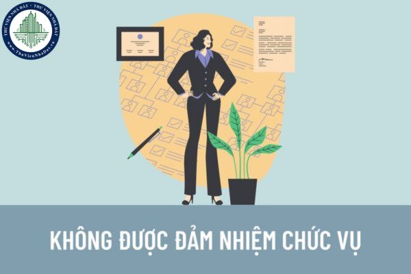 Cá nhân từng là chủ doanh nghiệp tư nhân đã phá sản có được làm giám đốc ngân hàng thương mại không?
