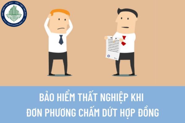 Đơn phương chấm dứt hợp đồng lao động có được hưởng chế độ bảo hiểm thất nghiệp hay không?