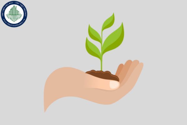 Hồ sơ đăng ký chuyển nhượng quyền đối với giống cây trồng được bảo hộ gồm những gì theo Nghị định 79/2023/NĐ-CP?