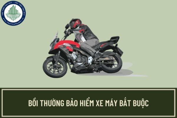 Hồ sơ bồi thường bảo hiểm xe máy bắt buộc gồm những gì? Thời hạn yêu cầu, thanh toán bồi thường bảo hiểm xe máy bắt buộc quy định như thế nào?