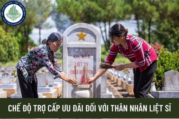 Hồ sơ giải quyết chế độ trợ cấp ưu đãi đối với thân nhân liệt sĩ gồm những thành phần nào?