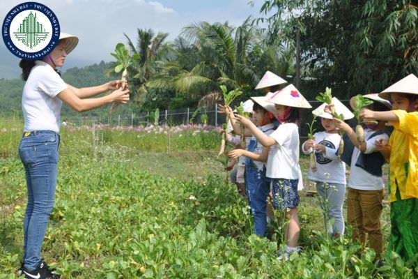 Hoạt động giáo dục ngoài giờ chính khóa là gì? Điều kiện hoạt động giáo dục ngoài giờ chính khóa là gì?