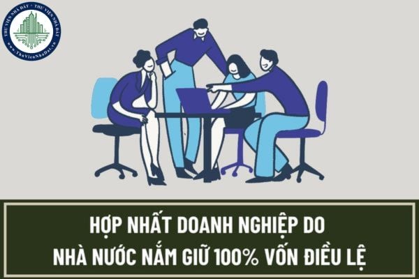 Doanh nghiệp do Nhà nước nắm giữ 100% vốn điều lệ được hợp nhất khi đáp ứng các điều kiện nào?