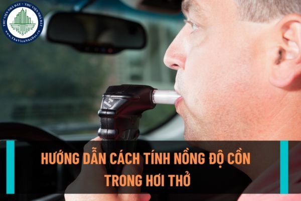 Hướng dẫn cách tính nồng độ cồn trong hơi thở khi điều khiển xe ô tô, xe máy? Mức xử phạt khi điều khiển xe có nồng cồn trong hơi thở?