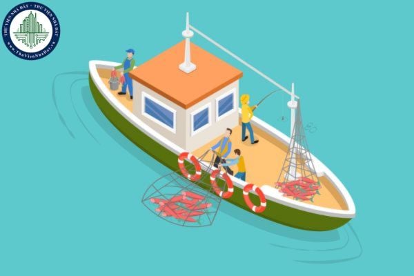 Đã có Nghị quyết 04/2024/NQ-HĐTP, hướng dẫn xử lý hình sự hành vi khai thác, mua bán trái phép thủy sản từ 1/8/2024 thế nào?