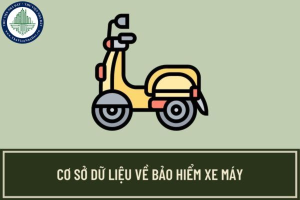 Khi nào doanh nghiệp bảo hiểm xe máy phải nhập thông tin lên hệ thống cơ sở dữ liệu bảo hiểm xe máy?