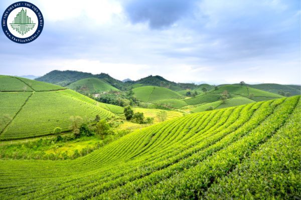 Trường hợp thực hiện quyền sử dụng đất có điều kiện theo quy định Luật Đất đai 2024 như thế nào?