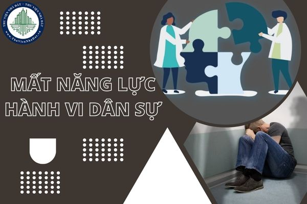 Chồng bị mất năng lực hành vi dân sự, vợ có được quyền bán nhà là tài sản chung