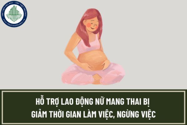 thuviennhadat.vn