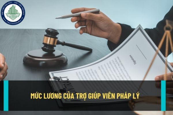 Mức lương của viên chức trợ giúp viên pháp lý là bao nhiêu? Việc bổ nhiệm viên chức trợ giúp viên pháp lý được thực hiện thế nào?