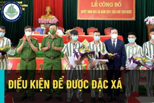 Người phạm tội được tạm đình chỉ hoặc đang chấp hành hình phạt phải đáp ứng điều kiện nào để được đặc xá?