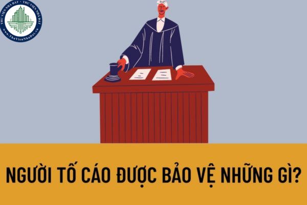 Người tố cáo được bảo vệ những gì? Quyền và nghĩa vụ của người được bảo vệ được quy định như thế nào?