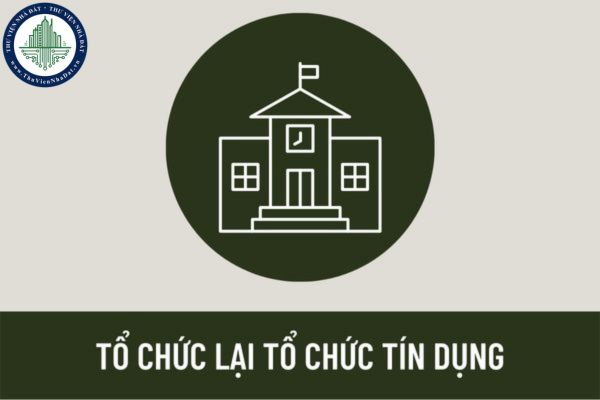 Nguyên tắc lập hồ sơ đề nghị chấp thuận tổ chức lại tổ chức tín dụng là gì? Trường hợp nào tổ chức lại tổ chức tín dụng?
