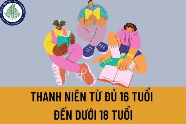 Nguyên tắc thực hiện cơ chế, chính sách đối với thanh niên từ đủ 16 tuổi đến dưới 18 tuổi được quy định như thế nào?