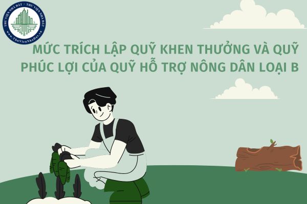 Mức trích lập quỹ khen thưởng và quỹ phúc lợi của Quỹ hỗ trợ nông dân loại B về hiệu quả hoạt động là bao nhiêu?