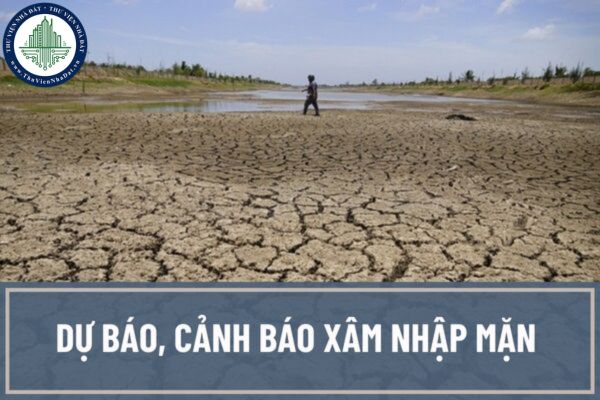 Quy trình kỹ thuật dự báo, cảnh báo xâm nhập mặn được quy định thế nào? Tần suất, thời gian ban hành  bản tin dự báo, cảnh báo ra sao?