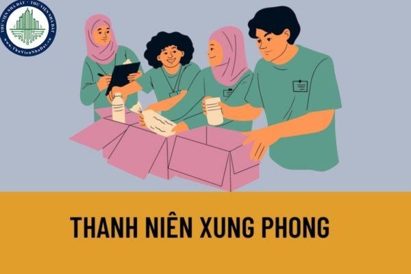 Thanh niên xung phong được hưởng các chính sách nào từ Nhà nước? Nguyên tắc thực hiện chính sách đối với thanh niên xung phong được quy định như thế nào?
