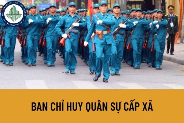 Thành phần Ban chỉ huy quân sự cấp xã bao gồm những thành phần nào? Ban chỉ huy quân sự cấp xã được hưởng chế độ phụ cấp chức vụ như thế nào?