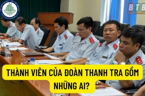 Thành viên của đoàn thanh tra gồm những ai? Nhiệm vụ, quyền hạn của trưởng đoàn thanh tra và thành viên đoàn thanh tra?