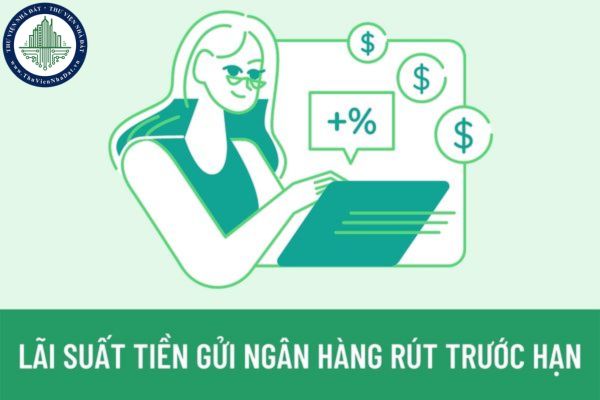 thuviennhadat.vn