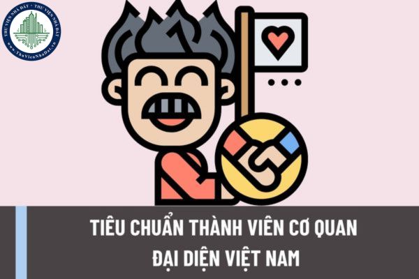 Tiêu chuẩn thành viên cơ quan đại diện Việt Nam được quy định như thế nào? Trách nhiệm của thành viên cơ quan đại diện được quy định như thế nào?