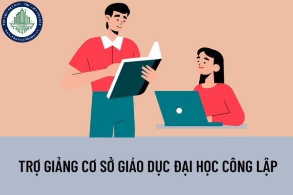 Tiêu chuẩn trở thành trợ giảng cơ sở giáo dục đại học công lập? Trợ giảng cơ sở giáo dục đại học công lập có được hưởng phụ cấp ưu đãi, thâm niên nhà giáo không? 