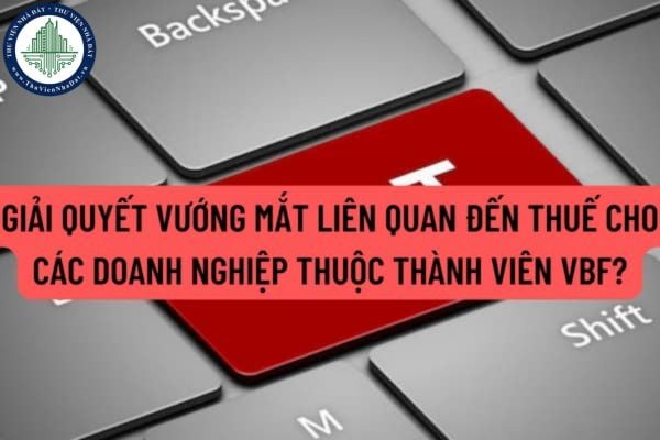 Tổng cục hải quan hướng dẫn giải quyết một số vướng mắt liên quan đến thuế cho các doanh nghiệp thuộc thành viên VBF?