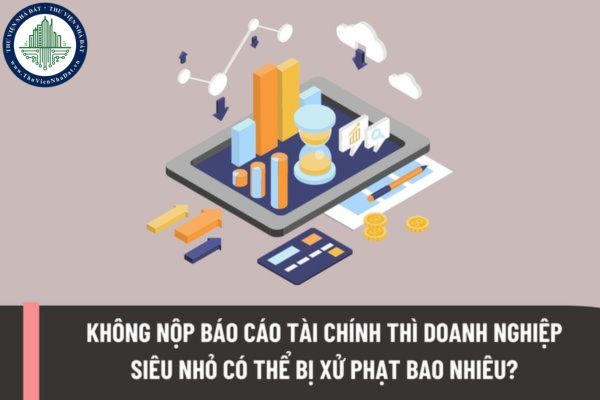 Trường hợp không nộp báo cáo tài chính thì doanh nghiệp siêu nhỏ có thể bị xử phạt bao nhiêu tiền?