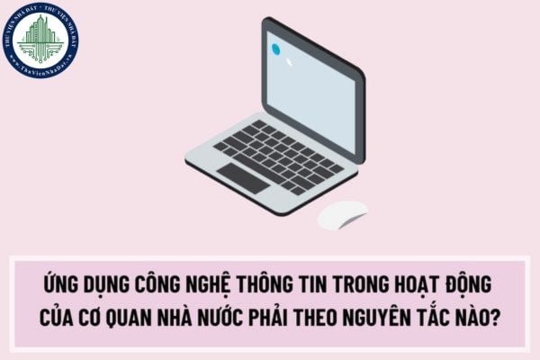 Ứng dụng công nghệ thông tin trong hoạt động của cơ quan nhà nước phải theo nguyên tắc nào?