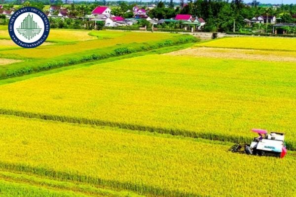 https://cdn.thuviennhadat.vn/upload/hinh-anh-bai-viet/TTR/thang-10-2025/23/dat-chuyen-trong-lua-ha-tinh.jpg