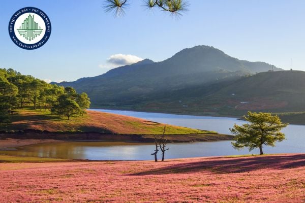 https://cdn.thuviennhadat.vn/upload/hinh-anh-bai-viet/TTR/thang-10/09/du-an-khu-du-lich-lam-dong.jpg