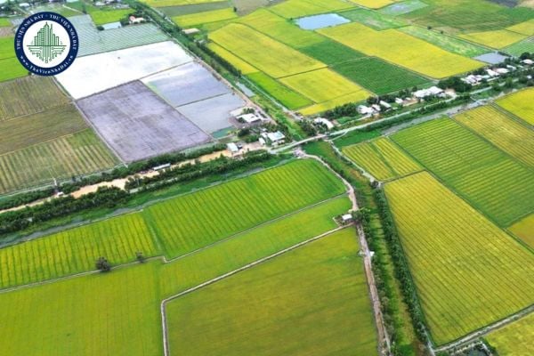 Mẫu Bảng giá đất nông nghiệp mới nhất áp dụng từ ngày 15/8/2025 là mẫu nào?