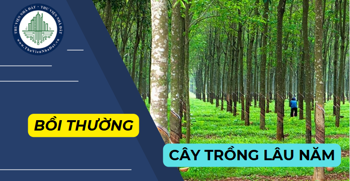 Khi thu hồi đất trồng cây lâu năm thì cây trồng trên đất có được bồi thường? (Hình từ Internet)