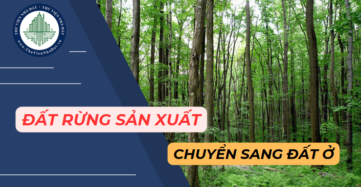 Cá nhân được phép chuyển đổi mục đích sử dụng đất rừng sản xuất sang đất ở không? (Hình từ Internet