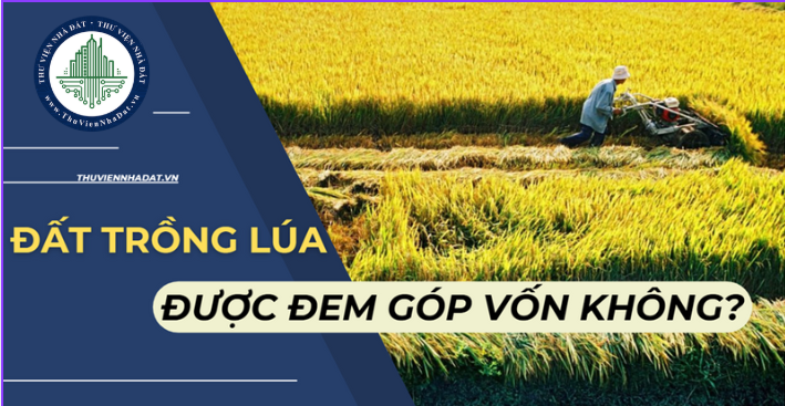 Đất trồng lúa, đất nông nghiệp có được góp vốn để thành lập doanh nghiệp không?