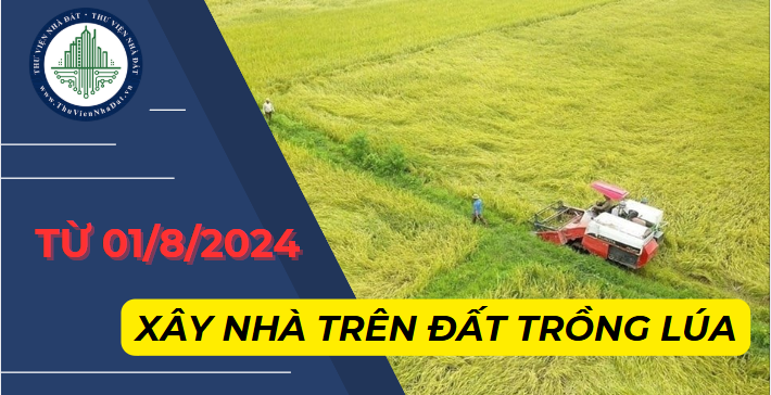 Từ ngày 01/8/2024, cho phép xây nhà ở trên đất trồng lúa? (Hình từ Internet)