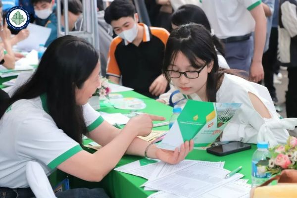 Theo Thông tư 06/2025/TT-BGDĐT số lượng tổ hợp xét tuyển được quy định như thế nào trong quy chế tuyển sinh đại học 2025?